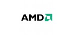  AMD